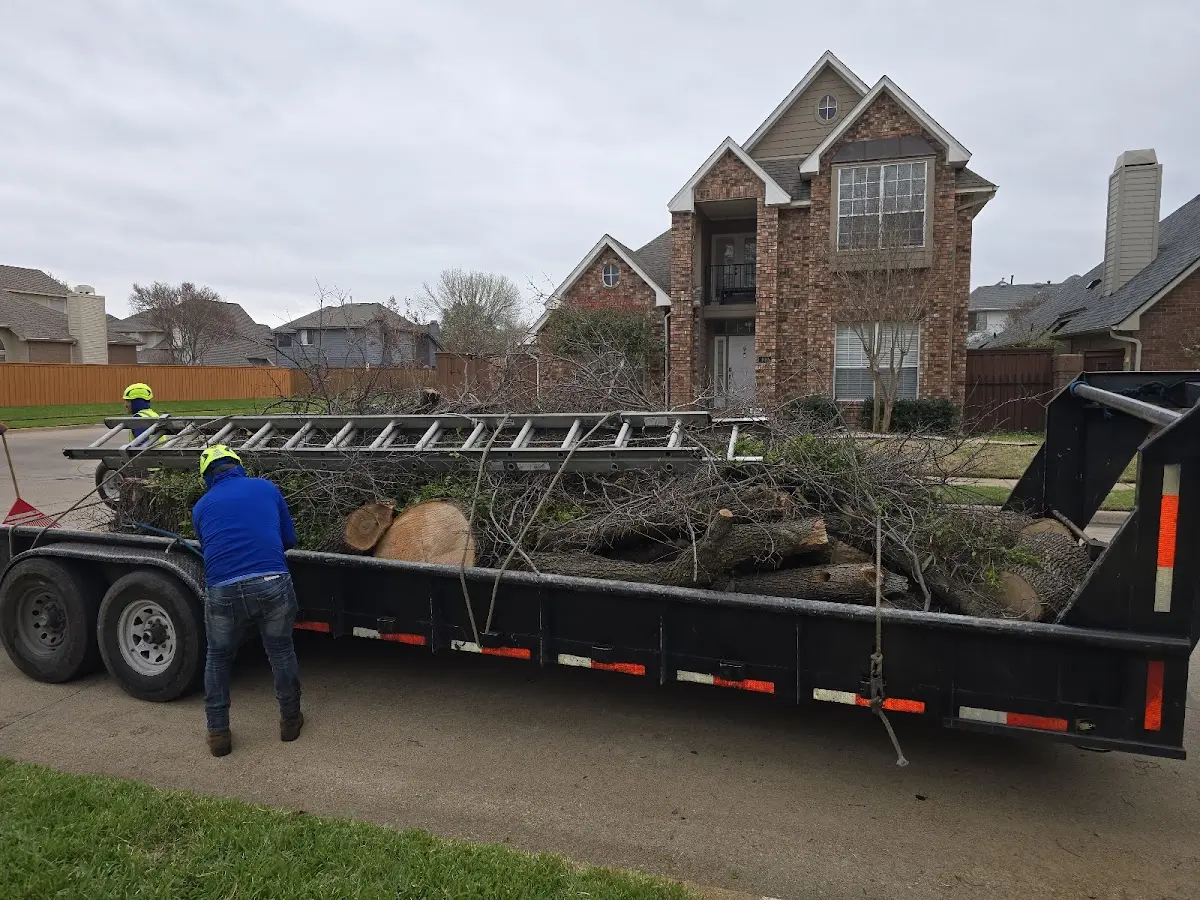 Expert Tree Removal with proper safety equipment in Lake Hamilton